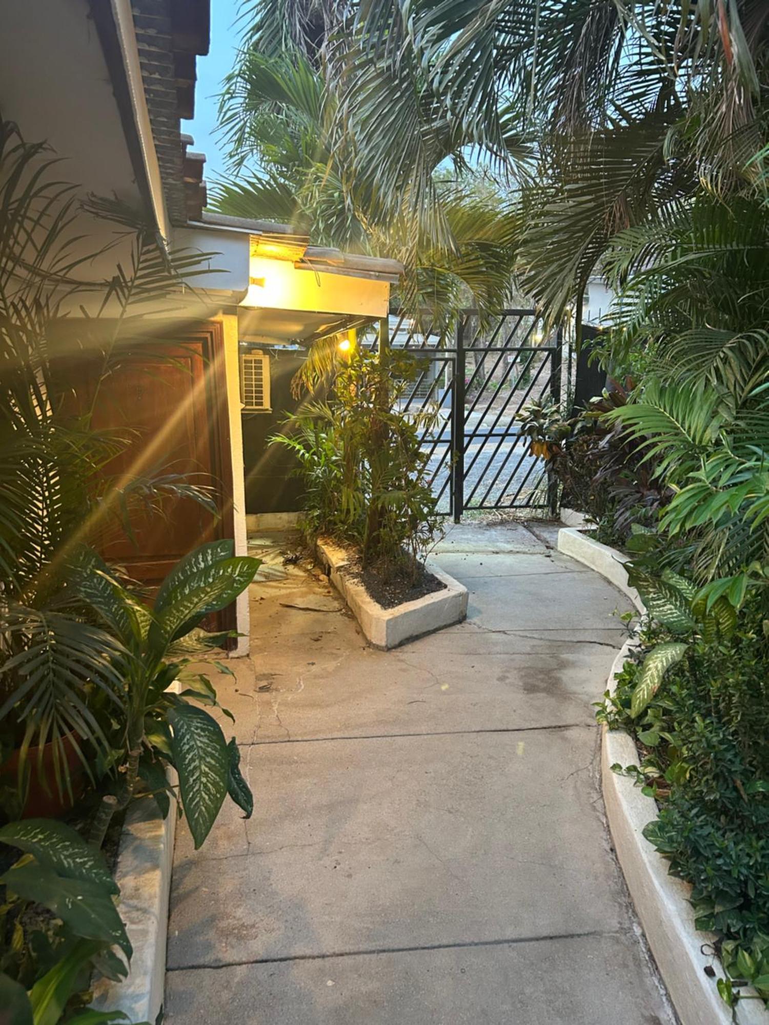 Pura Vida Hostel Tamarindo Exterior foto